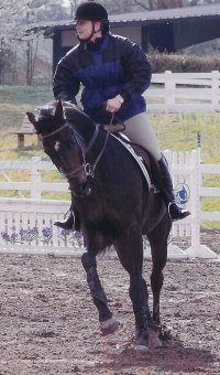 Mactavish won Grand Champion at the last Ticket to Ride Show for his jumping abliltiy.