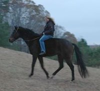 Te Conquistar - November 2005