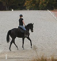 Marie and Two Thumbs Up schooling in the dressage arena.