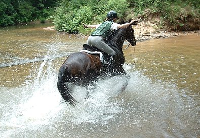 Two Thumbs Up and Marie - "Look ma, no hands!" - June 19, 2005