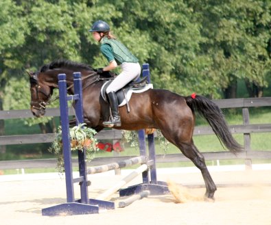 Former Stakes race horse - Two Thumbs Up and Marie van Roekel.