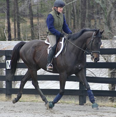 Wiseguy's Out - At Bits & Bytes Farm February 3, 2005.