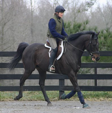 Wiseguy's Out - At Bits & Bytes Farm February 3, 2005.