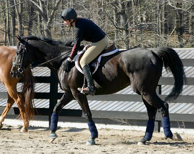 Wiseguy's Out - February 6, 2006