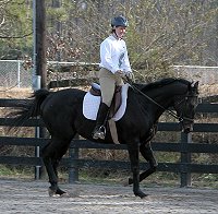 Wiseguy's Out and Angela