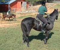 Wiseguy's Out did tripod duty as Elizabeth took photos of the group.