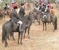 Wiseguy's Out at the fox hunt.