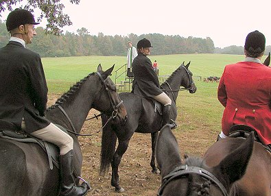 Wiseguy's Out at the fox hunt.