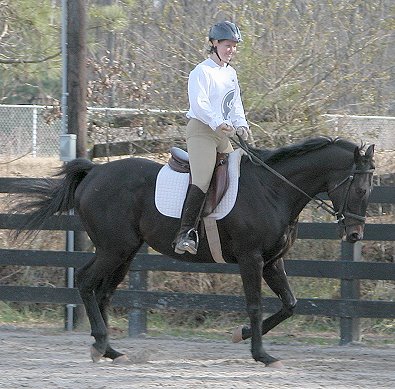 Wiseguy's Out - January 1, 2005