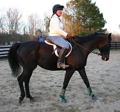 Former Bits & Bytes Farm Prospect Horse for Sale, Wiseguy's Out and mom Jennifer from Tennessee.