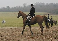 Our Boy Darcy and Barry