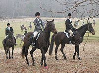 Marie & Gertjan at the fox hunt