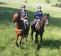 Tuck's St. Aly and Joe Bear are cousins. Both horses are grandsons of the great Alydar.