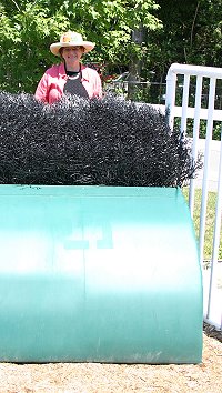Elizabeth standing behind a typical steeplechase fence.