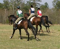 Our favorite part of the Shamrock Hounds Hunter Pace was galloping in the open fields.