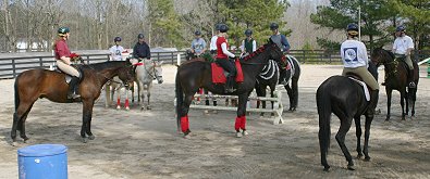 Bits & Bytes Farm's off-the-track Thoroughbreds celebrate their birthdays!