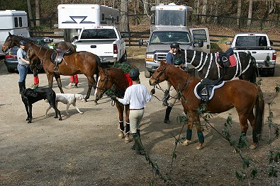 Preparing for the contests.