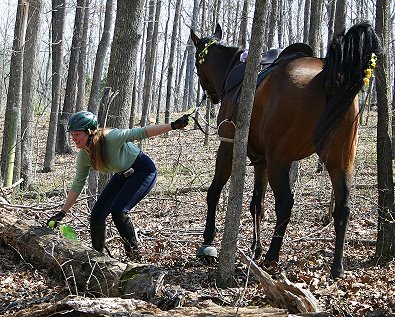 Lise and Fort Mason looked under every log in the woods to find their eggs.