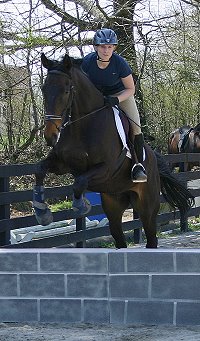 Paula rode Joe Bear and Irish in the jumping competition.