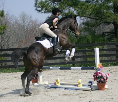 Two Thumbs Up jumps the liverpool with little yellow duckies at the Easter fun day at Bits & Bytes Farm. March 26, 2005