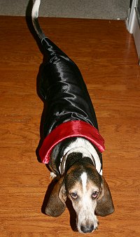 Kramer as Count Dogula