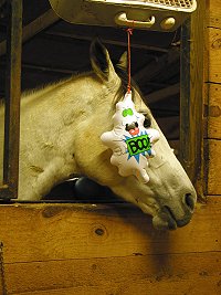 Grayboo and the ghost.