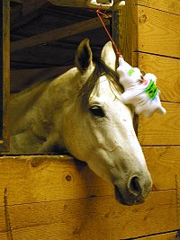 Grayboo and the ghost.