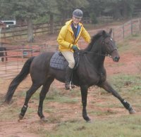 Big Money and Gertjan enjoy a gallop