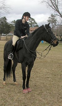 Te Conquistare and Leighton relaxing