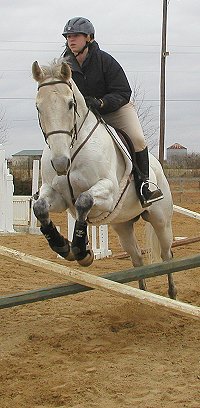 Boarding at Bits & Bytes Farm Mandy & Trey