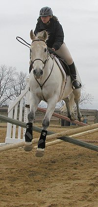 Boarding at Bits & Bytes Farm Mandy & Trey