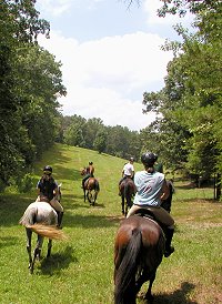 Deerhaven Farm Georgia