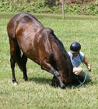 Broadway Joe bows for mom Rachael.
