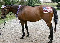 Fort Mason wore stars and stripes on one hip . . .