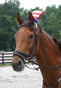 Heather's Best in red, white and blue as per Marie's request.