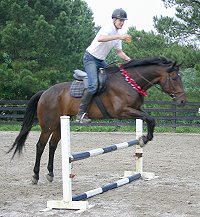 Gertjan and Big Money