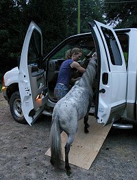 Elisa and Gucci go home.