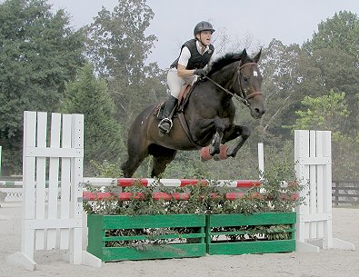 Liz Heiden at Bits & Bytes Farm
