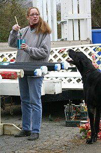 Lise takes painting direction from her dog Apollo.