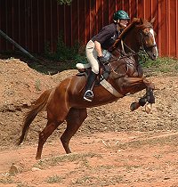 Lucky and Elizabeth jump the bank steps