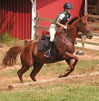 Marie and Secret take the bank steps up.