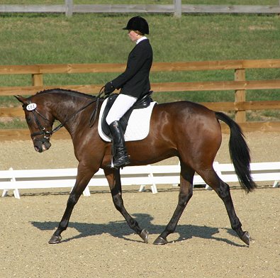Elisa Wallace and Jackson in the dressage arena.