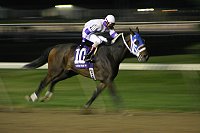 Racing under the lights at Turfway Park