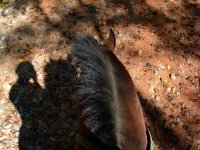 Marie van Roekel acted as the lead photographer