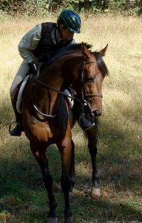 Elizabeth checks the girth on Aly's Charmer. - October 15, 2005
