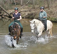 Fort Mason and Tiger