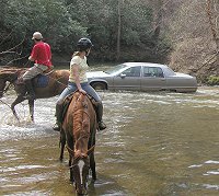 Atlanta traffic in Dawson Forest.