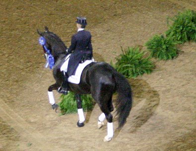 World Cup Dressage Champion - Anky van Grunsven