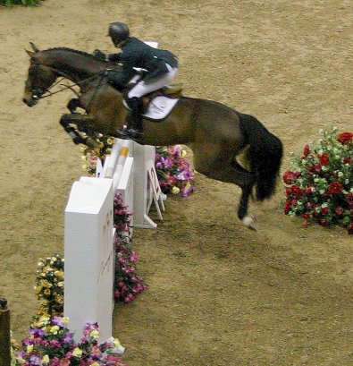 Meredith Michaels Beerbaum, of Germany, rode her 12 year old Hannoverian gelding Shutterfly to win her first World Cup.