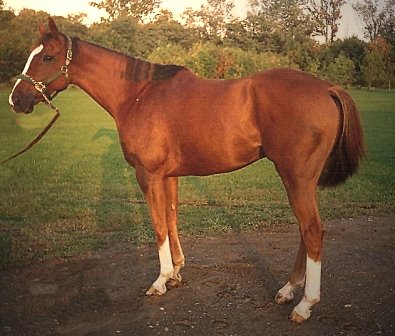 Call for more information.